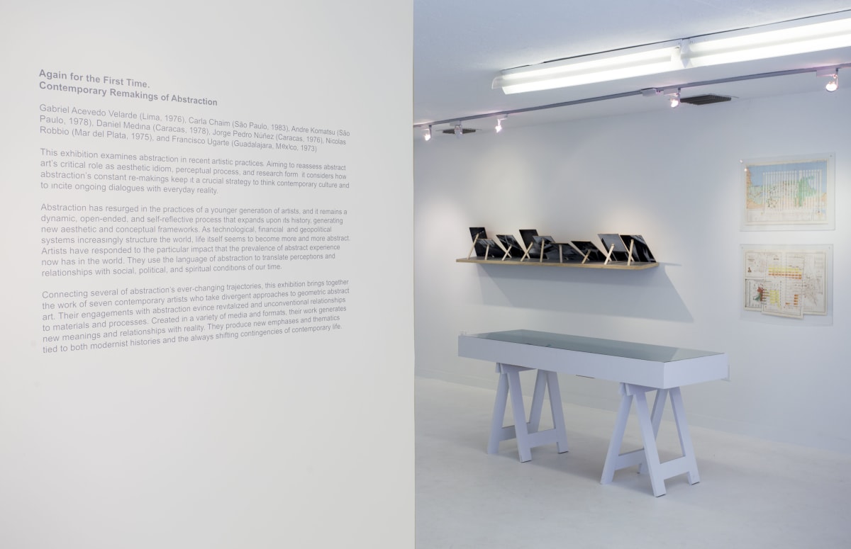 Again for the First Time - Exhibition Photo 1