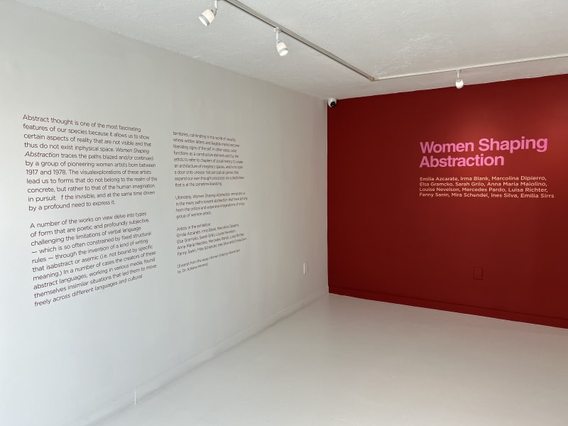 WOMEN SHAPING ABSTRACTION