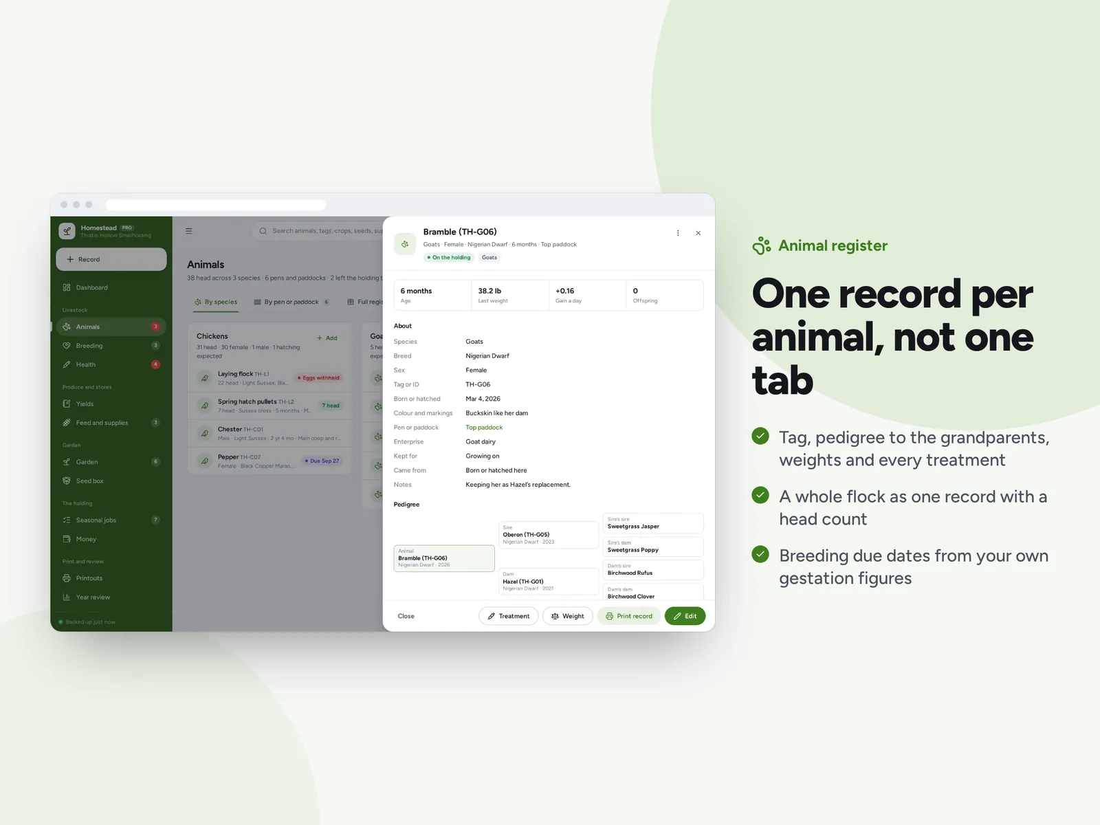 One record per animal, not one tab