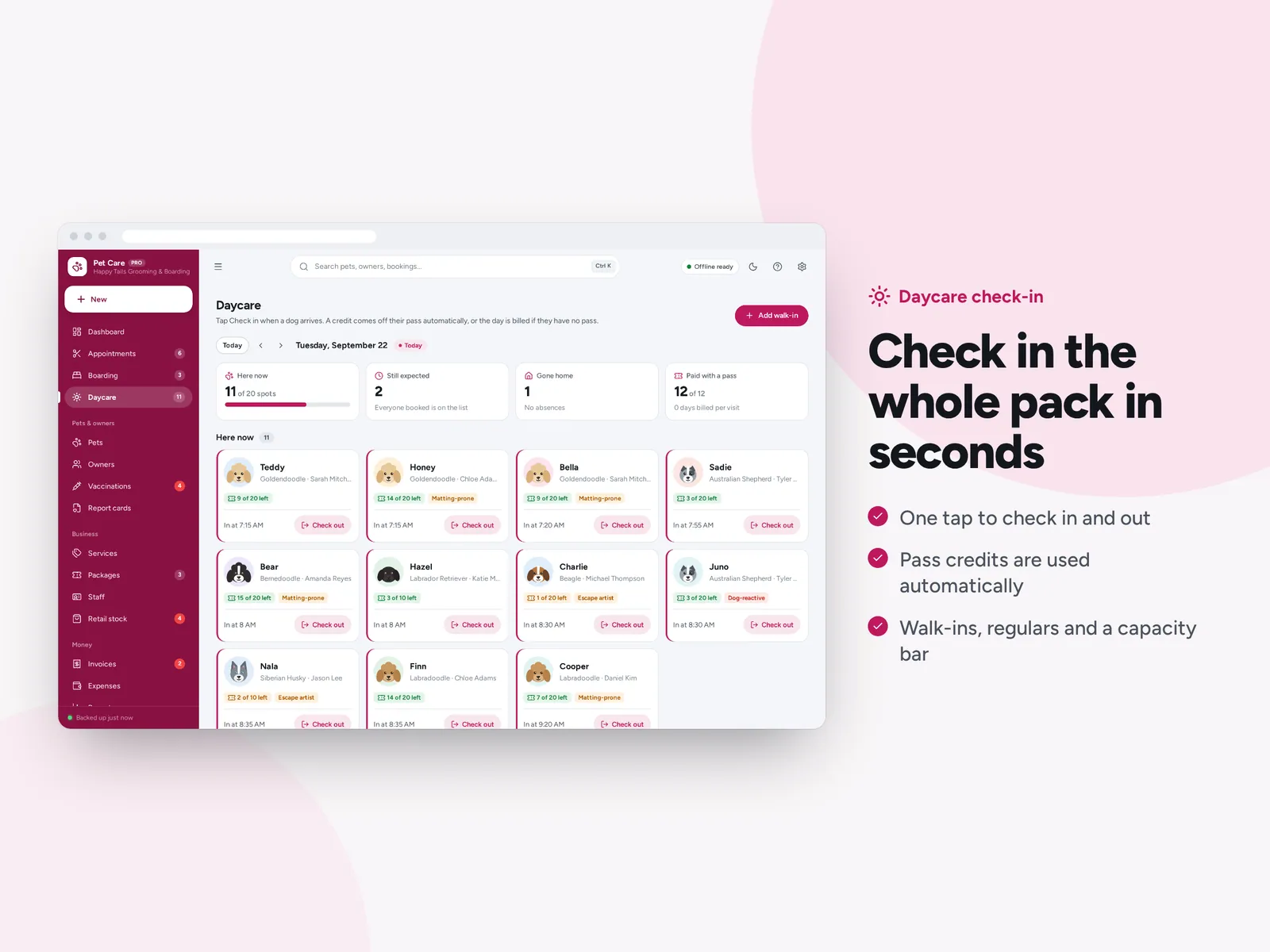 Check in the whole pack in seconds