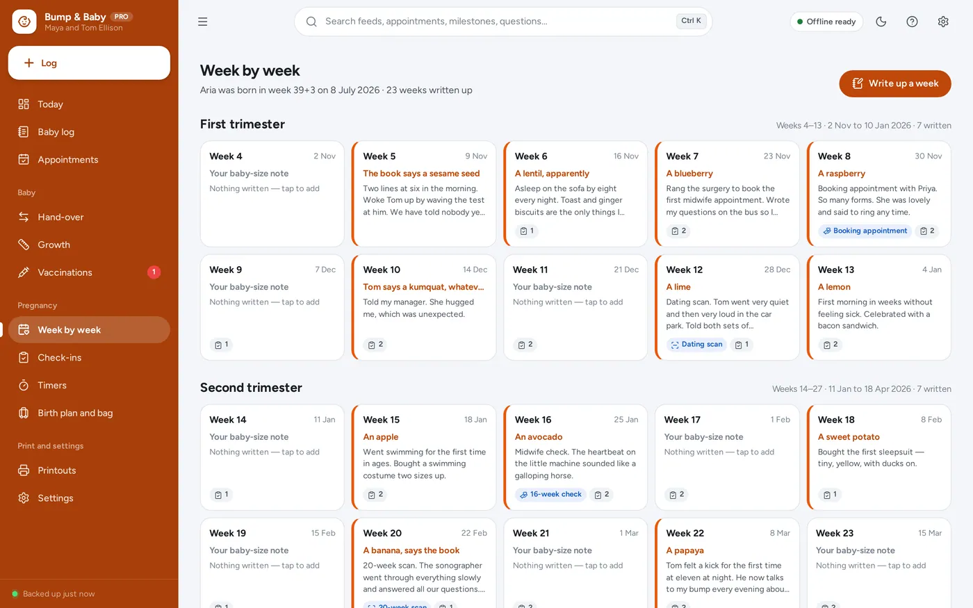 Pregnancy journal screen in Pregnancy & Newborn Tracker