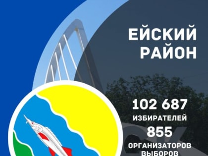 Предвыборная статистика