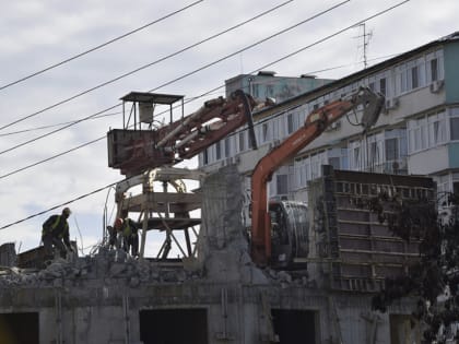 Сочи за неделю: В судах более 130 дел о сносе самостроев, проблемы с водоснабжением, цены на туры пошли вниз и медведь на дороге