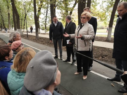 Обновление дубовой аллеи в Краснодаре