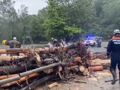 На восстановление инфраструктуры района Мацеста нужно больше миллиарда — мэр Сочи