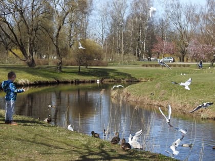 О пользе прогулок на свежем воздухе
