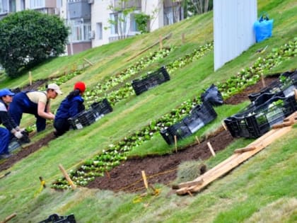 Озеленителями и курьерами предложат поработать летом краснодарским подросткам