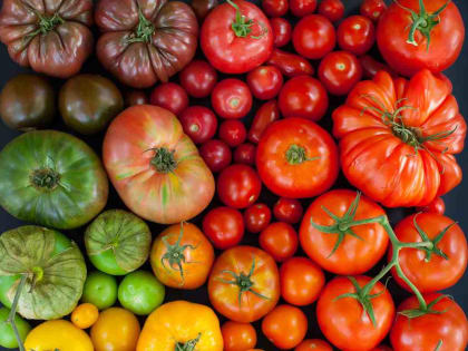 Избежать онкологии: продукты, которые помогут снизить риск развития рака