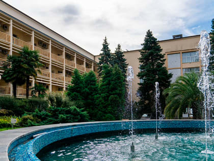 Семьи погибших и пострадавшие в результате теракта в Подмосковье смогут пройти реабилитацию в Сочи