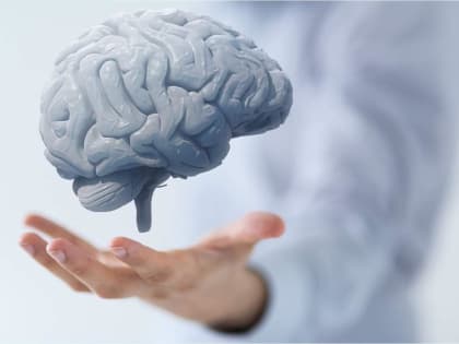 Пища для размышлений: как сохранить здоровье мозга и остроту ума до глубокой старости