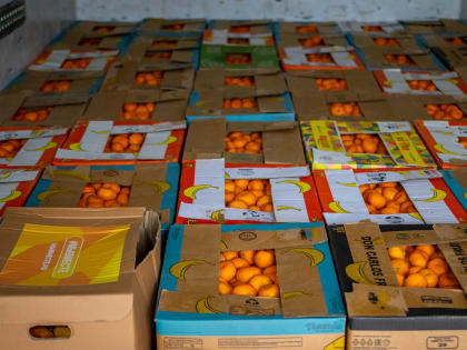 Из Сочи с начала СВО направлено более 500 тонн гуманитарной помощи