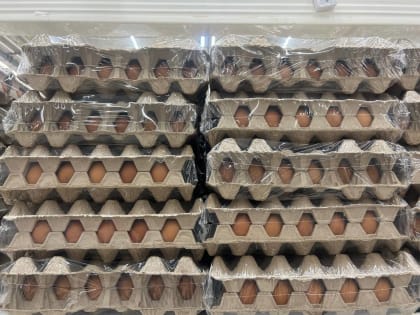 Подорожание яиц и куриного мяса в Новороссийске