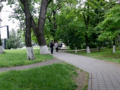 Каким будет Сквер медиков — решат жители Новороссийска