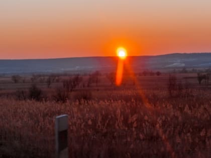 На ночь глядя: SHAMAN о патриотизме, корь наступает, опухоль с волейбольный мяч