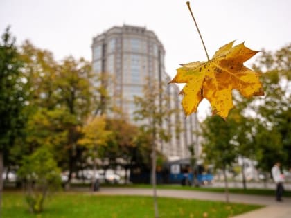 Дыхание осени: ощутимая прохлада придет в Краснодарский край