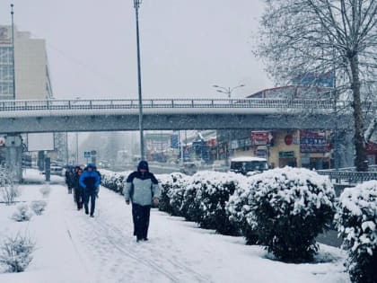 В МЧС сообщили о грядущих заморозках в Сочи