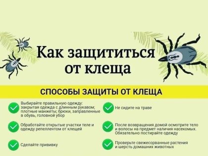 Внимание – голодные клещи!!!