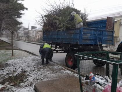 Ежедневно сотрудники МКУ «МФЦ» проводят работы по благоустройству и наведению санитарного порядка на территории города Крымска