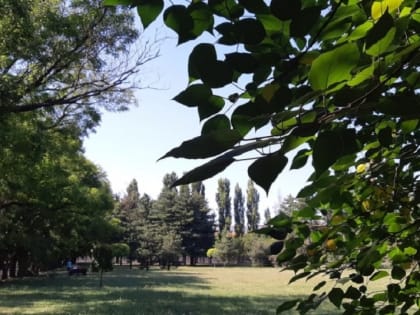 Какой будет погода на неделе в Краснодарском крае