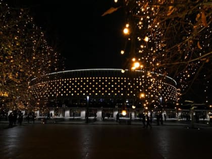 В парке «Краснодар» засияли новогодние огни (фото)