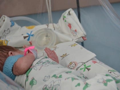 В Краснодарском крае благодаря процедуре ЭКО родился 361 ребенок