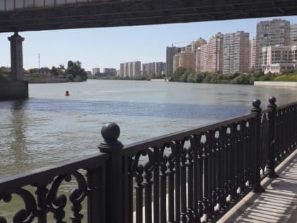 Все тайное становится явным:  как прошла неделя в Краснодарском крае