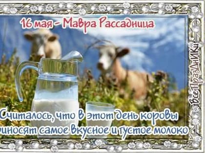 Народный праздник Мавра Рассадница отмечается 16 мая