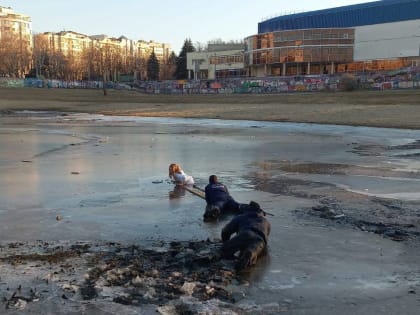 Краснодарские спасатели достали девушку-подростка из ледяной полыньи