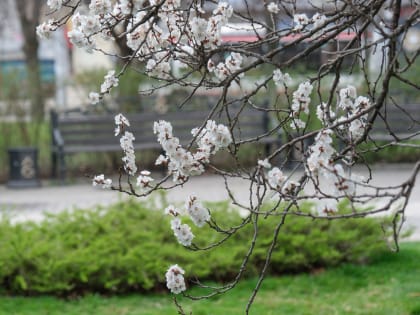 Температуры рванут вверх: до +23 ожидается в Краснодарском крае