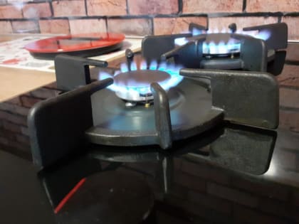 В России предлагают за счет бюджета устанавливать газоанализаторы