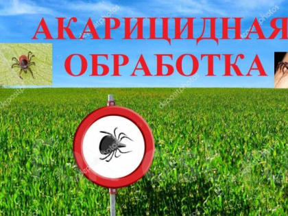 Дезинсекция от клещей