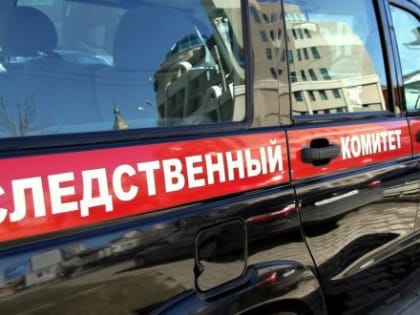 В Сочи матери, обвиняемой в причинении младенцу смерти по неосторожности, избрана мера пресечения