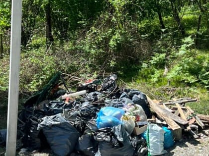 Константин Офлиди организовал субботник на сельском кладбище  в селе Галицино Молдовского сельского округа