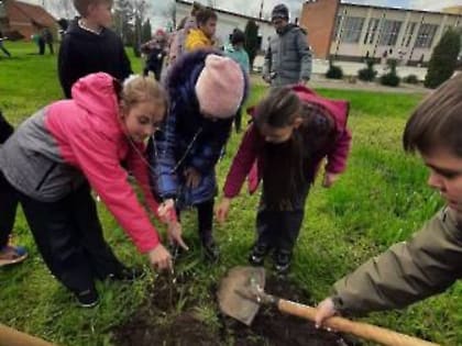 Зеленая весна вдохновляет и объединяет: санитарный порядок наводят педагоги и подрастающее поколение Большого Белореченска