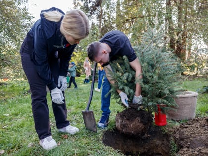 В День студента в Сочи молодежь высадила вечнозеленую аллею