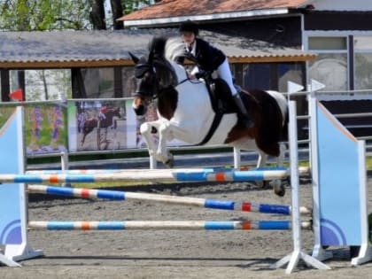 Посёлок Южный принял чемпионат и первенство Южного Федерального округа по конкуру