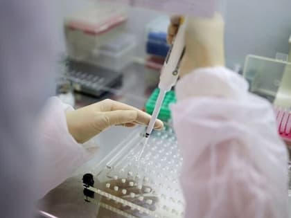 В Краснодарском крае за неделю выявили 1022 случая коронавируса