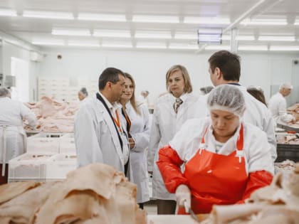 Мясоперерабатывающее предприятие в Гулькевичи расширяет производство