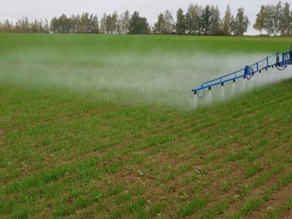 Внесение гербицидов на посевах озимых колосовых