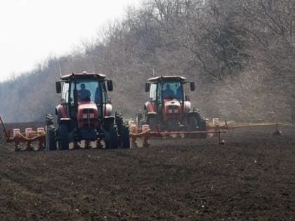 Кубанские фермеры продолжают наращивать производство своей продукции