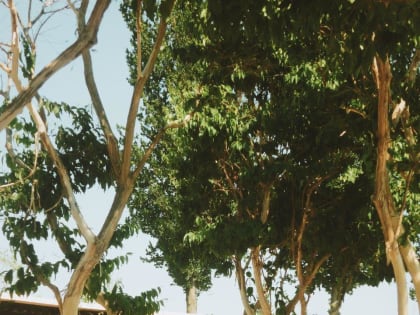 О профилактике гипертонии: в Апшеронске пройдёт День здоровья