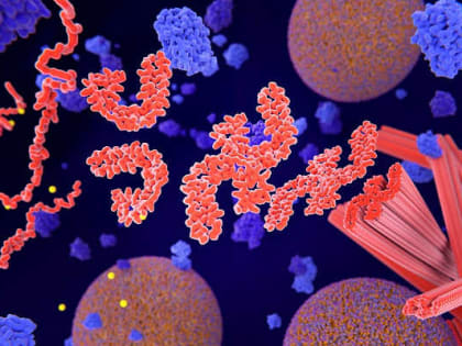 Названы неизлечимые болезни, угрожающие человечеству