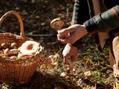 В Краснодаре зафиксирован случай вируса Коксаки среди детей