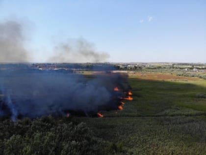 Под Анапой огонь бушевал в заброшенном саду