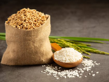 Холестерин сбежит: продукты, которые чистят сосуды лучше лекарств