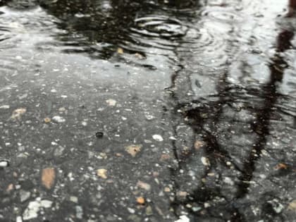 На Кубани ожидается дождливый июнь