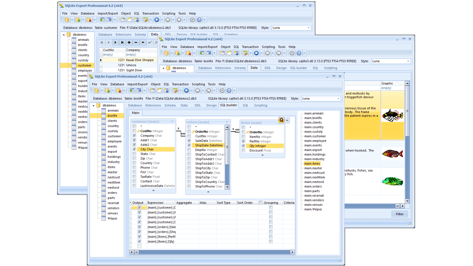 SQL lite