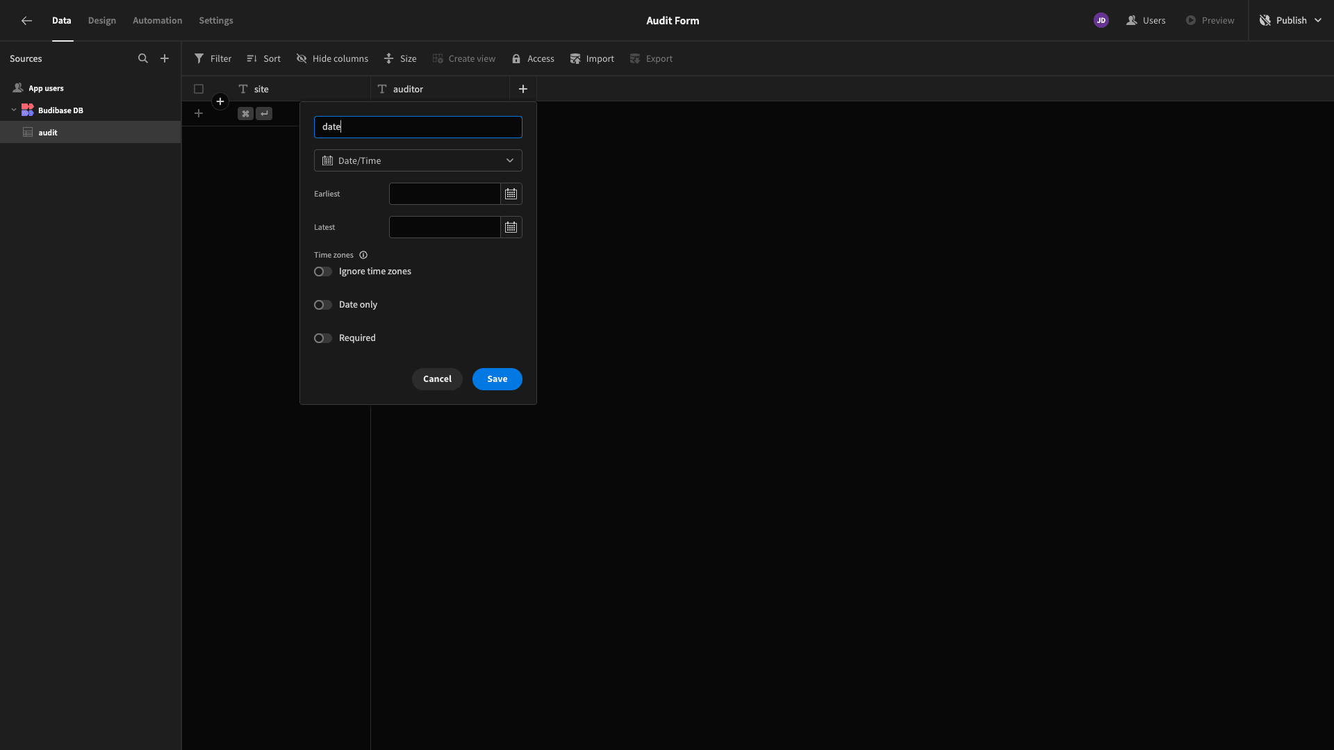 Audit Form Schema