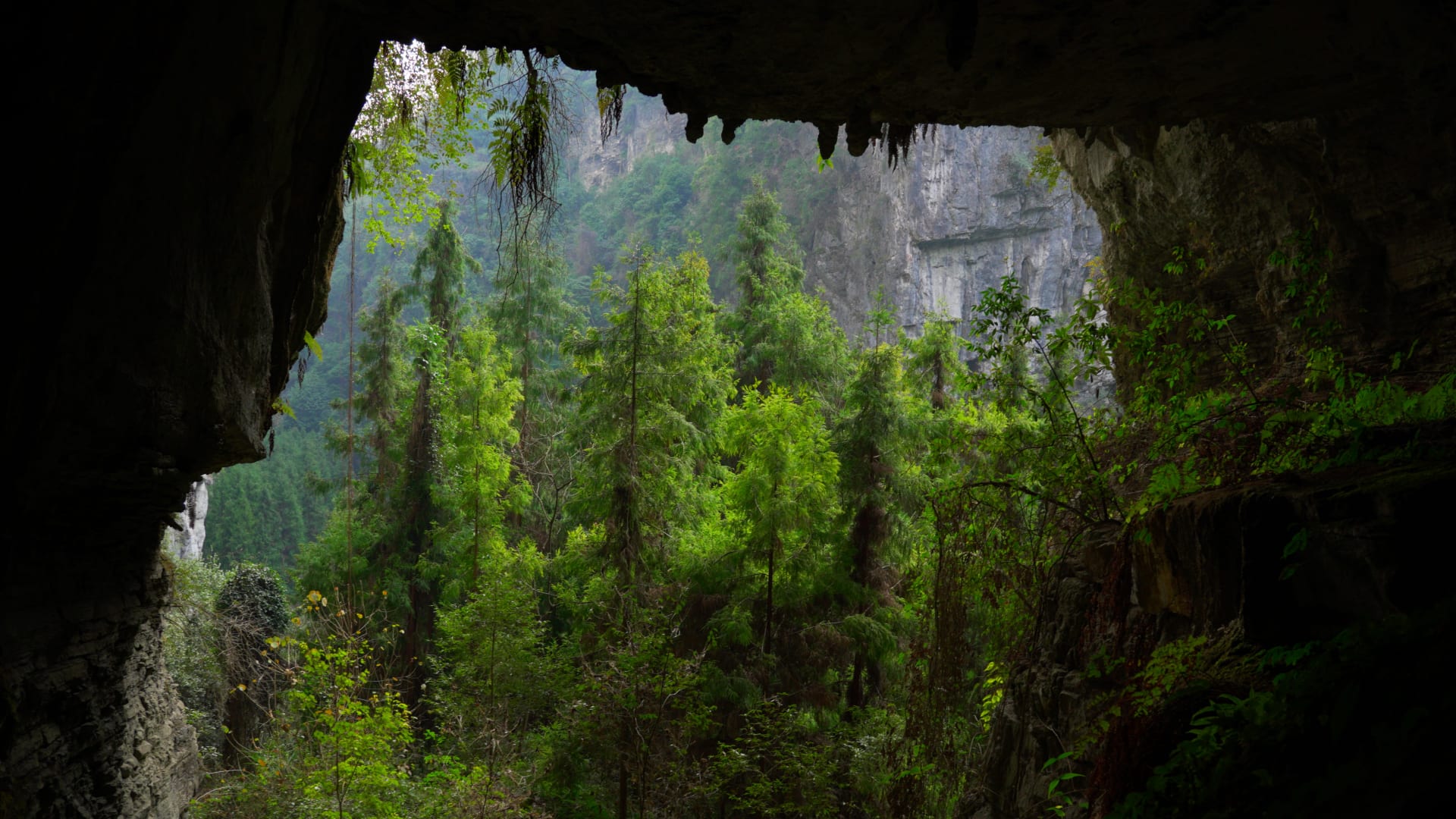 hiding_from_a_helicopter