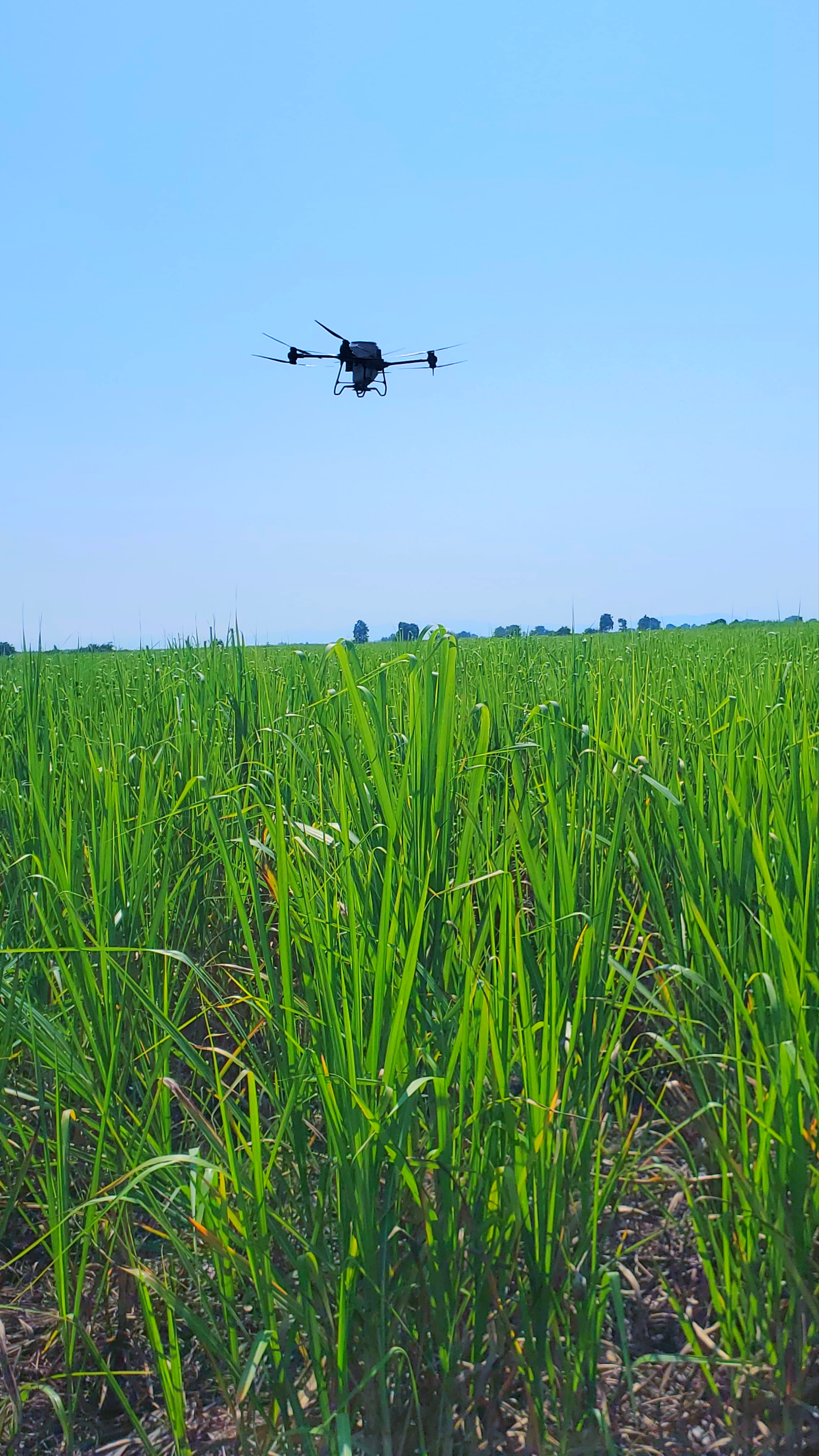 Precision Agriculture